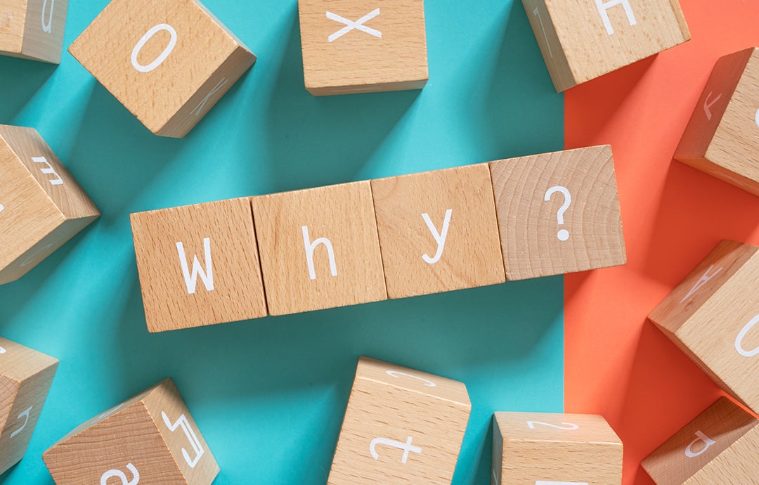 Why?なぜ？