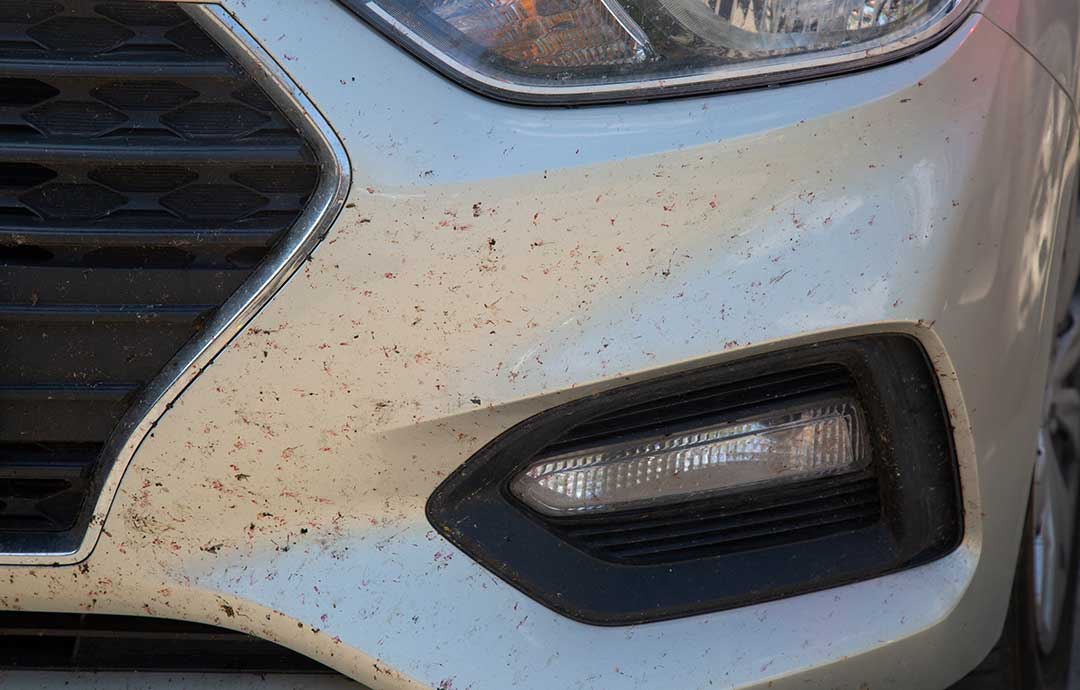 車のボディに付いた汚れ